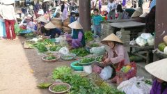 自分の畑で採れた野菜を売る女性たち・ベトナム・フエ省